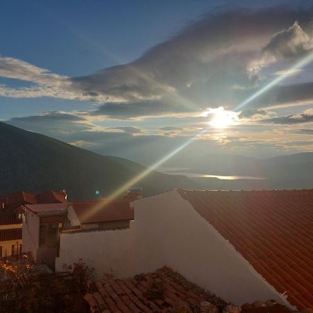 Tholos Hotel Дельфы Экстерьер фото